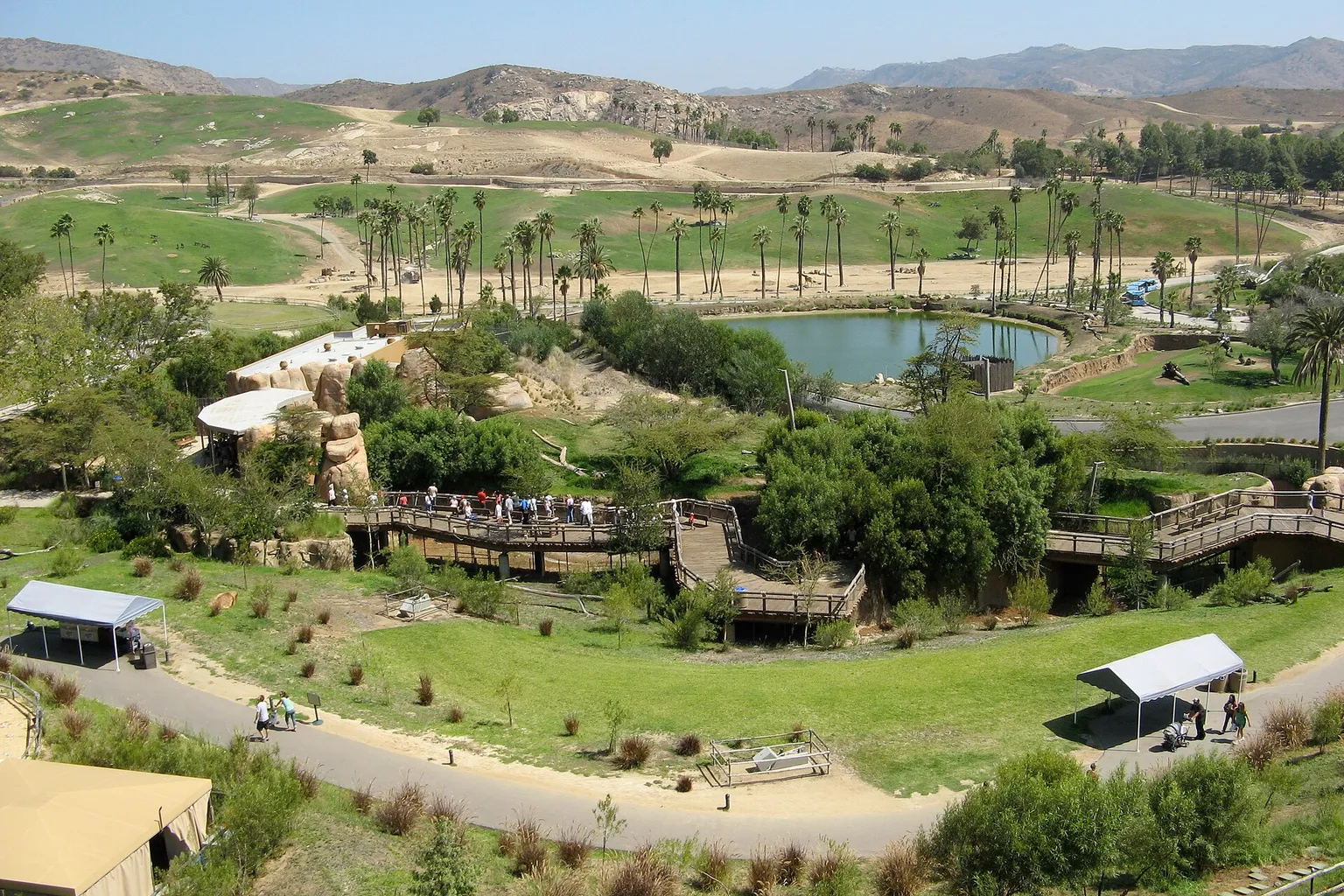 Horaires du San Diego Zoo Safari Park : les meilleurs créneaux