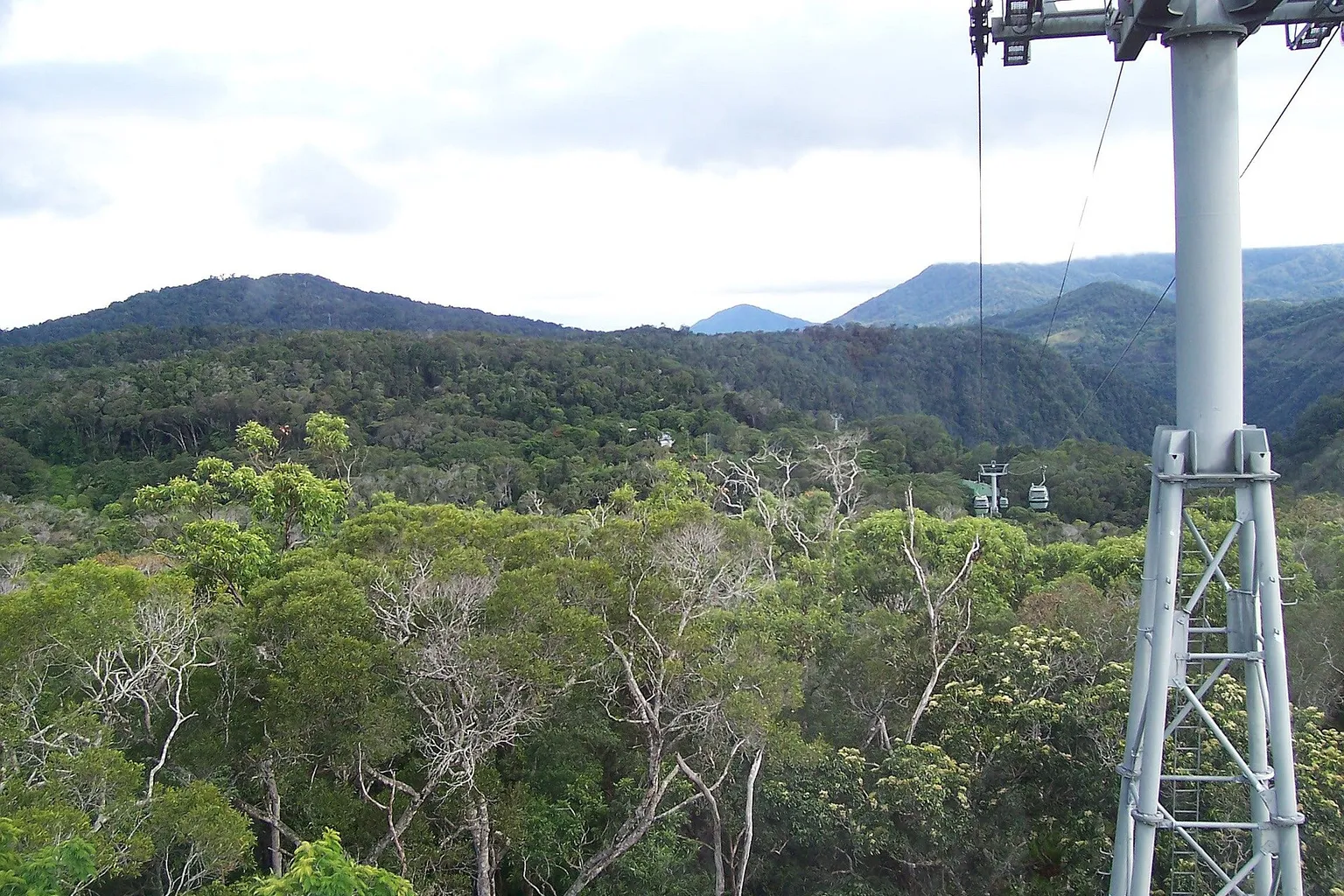 Skyrail Rainforest Cableway : trois formules pour votre visite